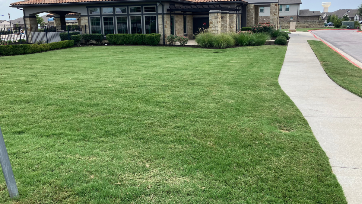 Green Dream Lawns Highlights Critical February Window for Spring Lawn Success