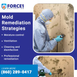 Force 1 Restoration Services  1.jpg