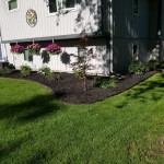 Black Mulch Installation