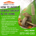 SERVPRO-of-Carrollton-1221-(5).png