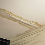 tipstohelpfindandfixwaterleaks.jpg