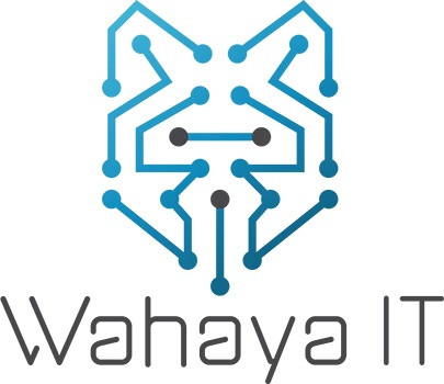 Ransomware Threats Surge in Louisiana Healthcare Sector