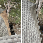 Gutter Cleaning Denver.png