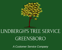 Lindbergh's Tree Service Greensboro