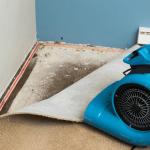 water removal .png