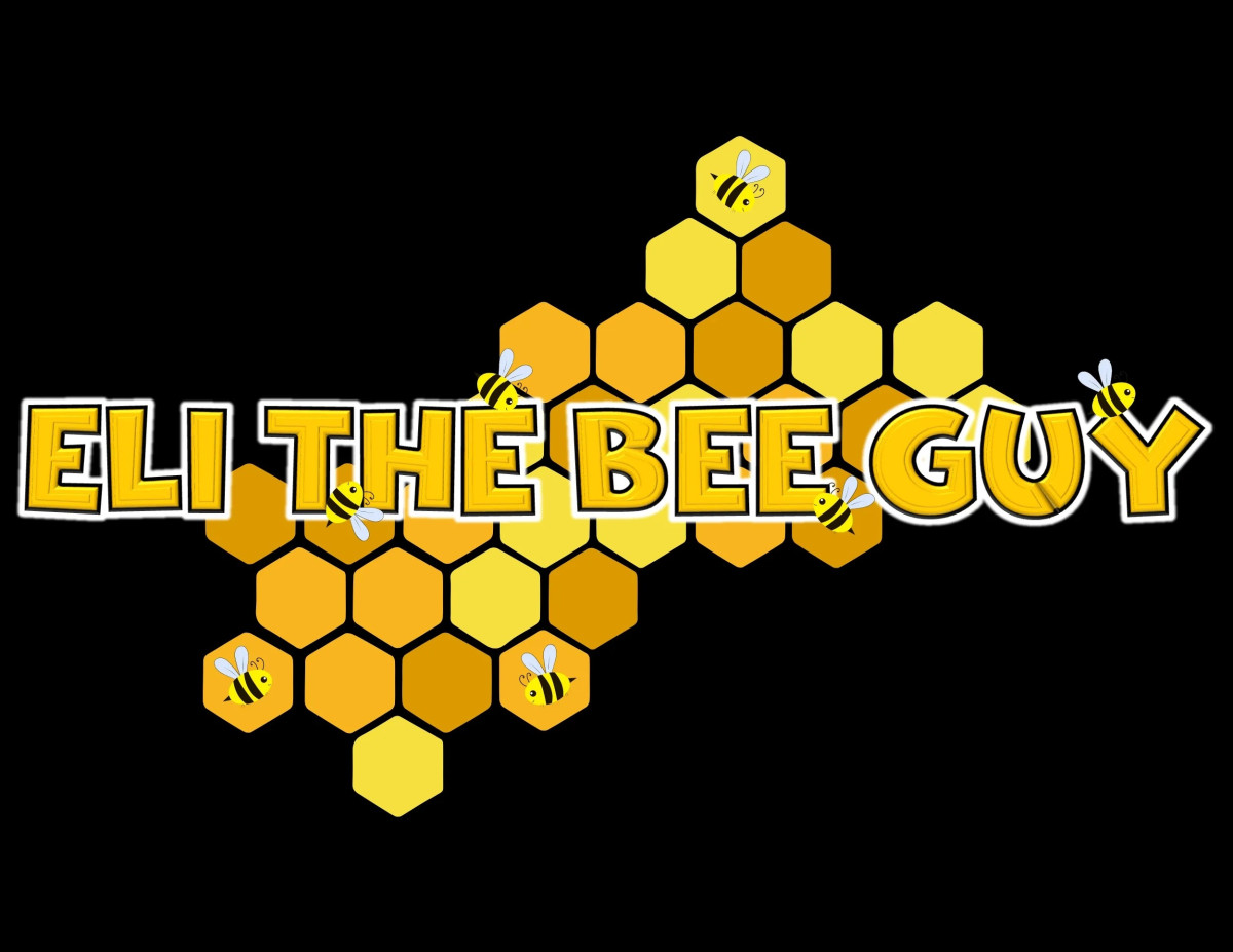 Eli the Bee Guy | Bee Removal and Rescue