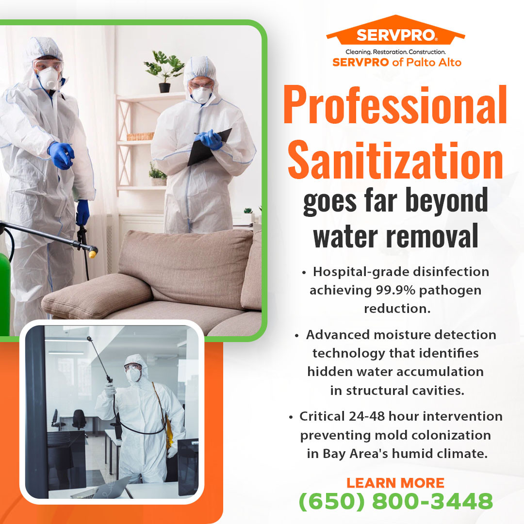 Professional Sanitization