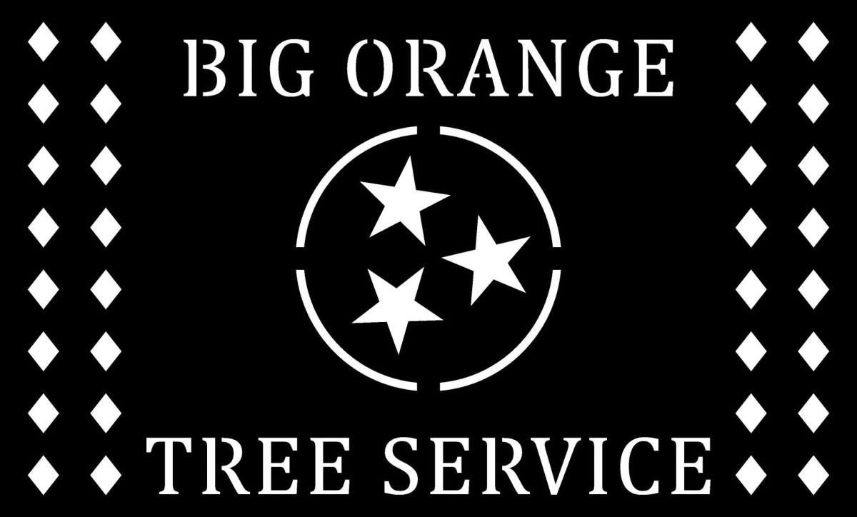 Big Orange Tree Service by Jason Stiltner