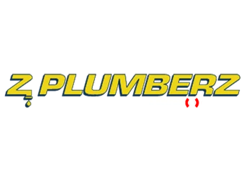 Z PLUMBERZ of Auburn Hills