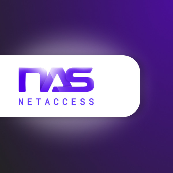 NetAccess Systems - Hamilton Managed IT Services Company