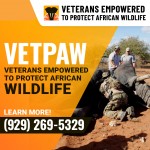 African Wildlife Conservation Group 6.jpg
