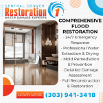A team of professionals working to repair and restore a flooded area in Denver.png