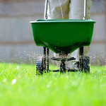 ezgif.com-webp-to-jpg-converter (13).jpg