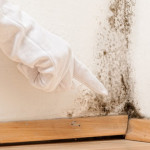 mold_smell_moldtestUSA-678x381.jpg