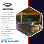 American Restoration Professionals 4.png