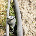 lawn sprinkler pipes backflow.jpg