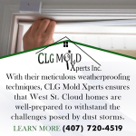 CLG Mold Xperts weatherproofing techniques.png