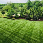 blog-3-benefits-of-custom-lawn-care-for-indianapolis-in-homeowners-ezgif.com-webp-to-jpg-converter.jpg