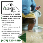 CLGMXI-0223-(6).png