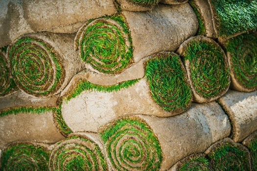 Daily Landscaping Ranked Top Sod Installation Company in Butler County (1).jpg