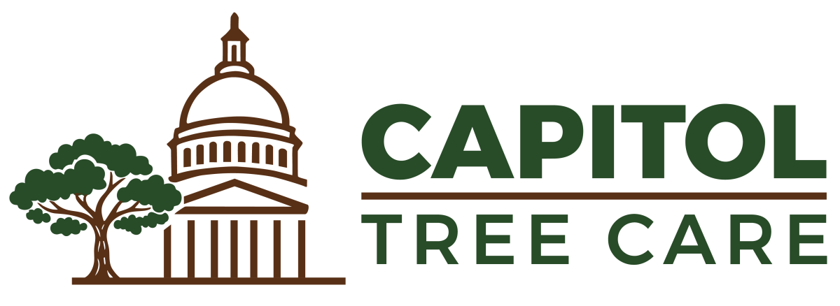 Capitol Tree Care