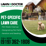 Lawn Doctor 2 (4).png