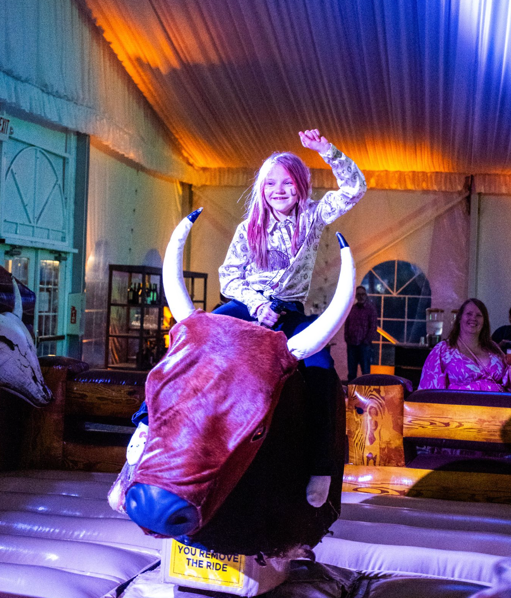 bounce party of tampa