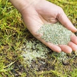 Is Soil Prep the Secret Behind Transforming Weak Lawns in Cumming.jpg