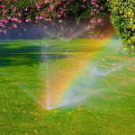 Is Your Lawn Suffering from Poor Irrigation - Top Sprinkler Installation Issues in Atascocita, TX.jpg