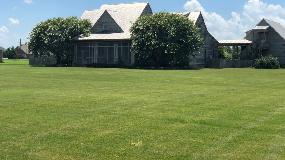 When Lawn Renovation Makes More Sense Than Ongoing Treatment