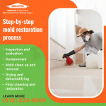SERVPRO of Downtown Minneapolis_Team Bates & Hogan 3 (ver 1) (1).jpg