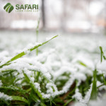 Professional Lawn Care Company in Boise Idaho.jpg