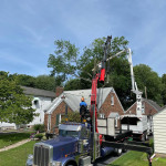 tree removal cleveland.jpeg