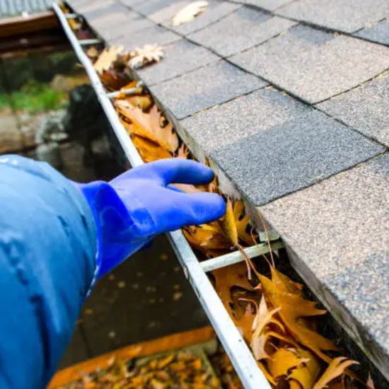 Mount Pleasant Pressure Washing: Charleston’s Gutter Cleaning Experts