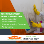 Techniques Used in Mold Inspection.png