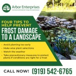 Arbot Enterprises 3.jpg