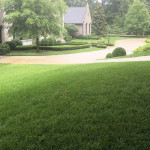 buckhead-lawn-care-and-landscape-maintenance-services.jpg