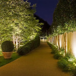 Where Should Uplights and Downlights Be Placed Among Bare Branches For Outdoor Lighting in Raleigh, NC.jpg