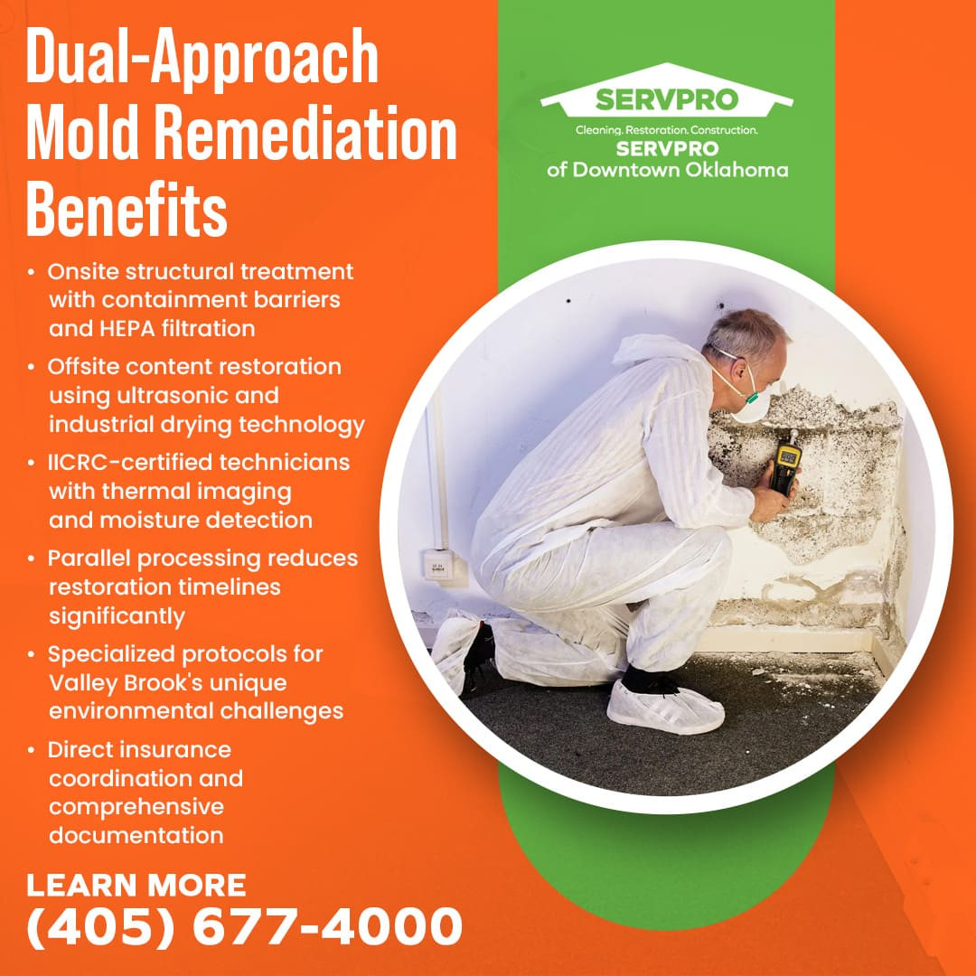 Dual-approach mold remediation benefits