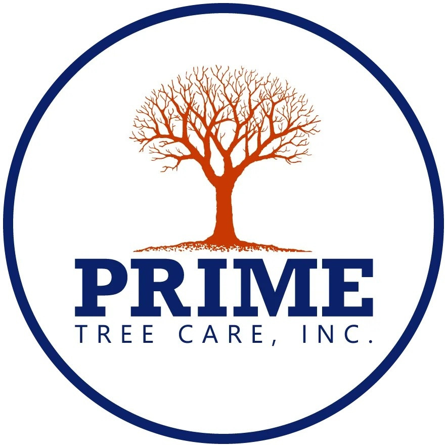 Prime Tree Care, Inc
