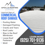 Apollo Roofing Company - SAN RAFAEL 3.jpg