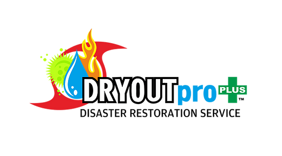 DRYOUTpro PLUS, INC.