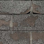 Signs of Damage on Shingle Roofing.jpg