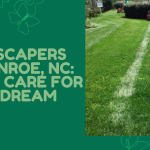 Performance Lawn and Landscapes.png