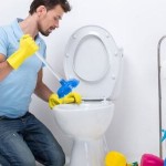 cloggedtoilet.jpg