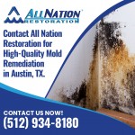 All Nation Restoration, Springdale Rd 6.jpg