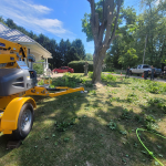 tree-removal-and-trimming-service.png