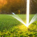 Irrigation Services of Elkhorn Lawn Care