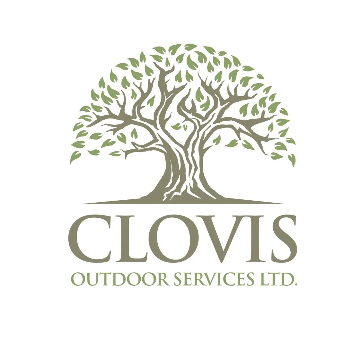 Tree Services Long Island NY