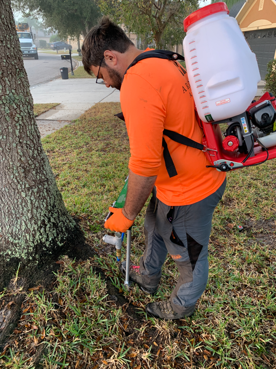 Arborist Aboard Tampa's Premier Tree Care Experts WICZ
